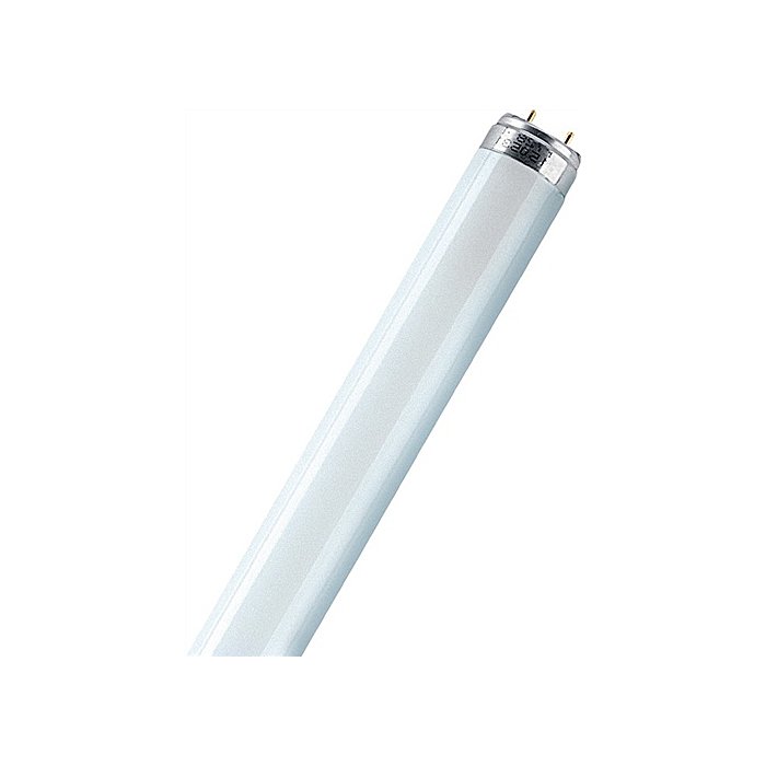 Osram Leuchtstoffr Hre Lumilux W L Cm D Mm Cool White Lichtfarbe