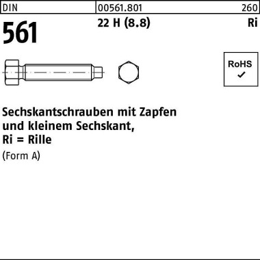 Sechskantschraube DIN 561 Zapfen AM 8x 30 22 H (8. 8) 100 Stück 005618010080030