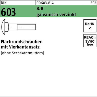 Flachrundschraube DIN 603 Vierkantansatz M8x65 8.8 galv.verz. 200St. 006038140080065