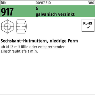 Sechskanthutmutter DIN 91 7 niedrige FormM6 6 galv. verz. 100 Stück 009173109060000