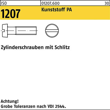 Zylinderschraube ISO 1207 Schlitz M3x 30 Polyamid 200 Stück 012076000030030