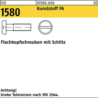 Flachkopfschraube ISO 158 0 Schlitz M3x 6 Polyamid 200 Stück 015806000030006