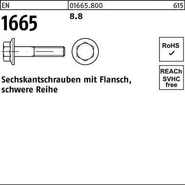 Sechskantschraube EN 1665 Flansch M6x 30 8.8 500 S tück 016658000060030