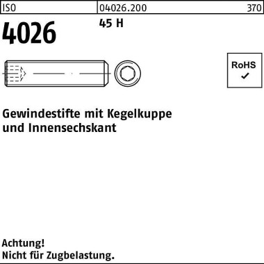 Gewindestift ISO 4026 Keg elkuppe/Innen-6kt M12x 30 45 H 100 Stück 040262000120030