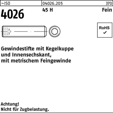 Gewindestift ISO 4026 Keg elkuppe/Innen-6kt M12x 1x 40 45 H 100 Stück 040262050123040