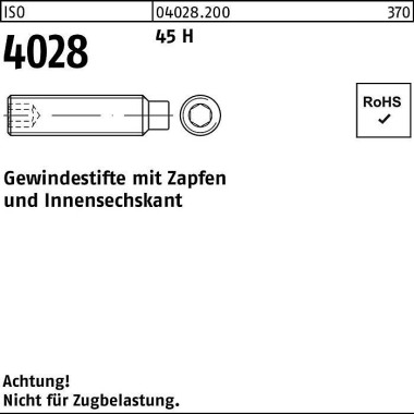 Gewindestift ISO 4028 Zap fen/Innen-6kt M12x 45 45 H 100 Stück 040282000120045