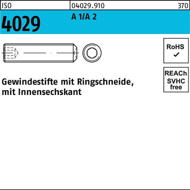 Gewindestift ISO 4029 Rin gschneide/Innen-6kt M5x 6 A 2 500 Stück 040299100050006