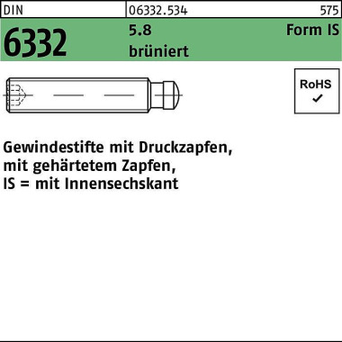 Gewindestift DIN 6332 For mIS Zapfen/Innen-6kt IS M 20x80 5.8 brüniert 1St. 063325340200080