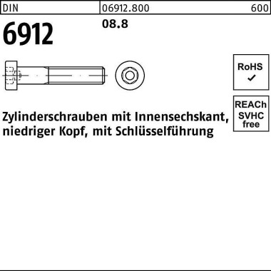 Zylinderschraube DIN 6912 Innen-6kt M5x 40 8.8 200 Stück 069128000050040