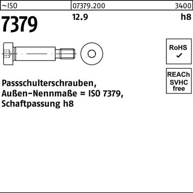 Paßschulterschraube ISO 7 379 8 - M6x 25 12.9 Schaf tpassung h8 50 Stück 073792000060025