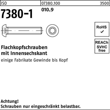 Flachkopfschraube ISO 738 0-1 Innen-6kt M4x 16 010. 9 500 Stück 073801000040016