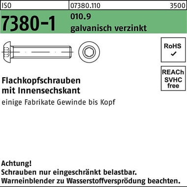 Flachkopfschraube ISO 738 0-1 Innen-6kt M5x10 010.9 galv.verz. 500St. 073801100050010