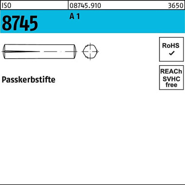 Passkerbstift ISO 8745 4x 8 A 1 100 Stück 087459100040008