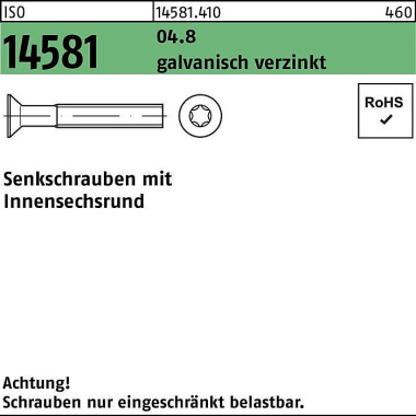 Senkschraube ISO 14581 IS R M6x25 T30 04.8 galv.ver z. 500St. 145814100060025