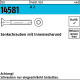 Senkschraube ISO 14581 IS R M3x 22 T10 A 2 1000 Stü ck 145819200030022