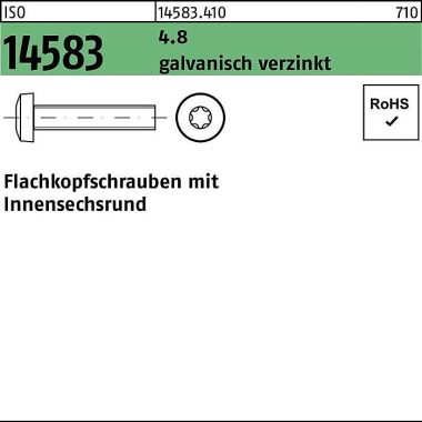 Flachkopfschraube ISO 145 83 ISR M2,5x4 4.8 galv.ve rz. 2000St. 145834100025004