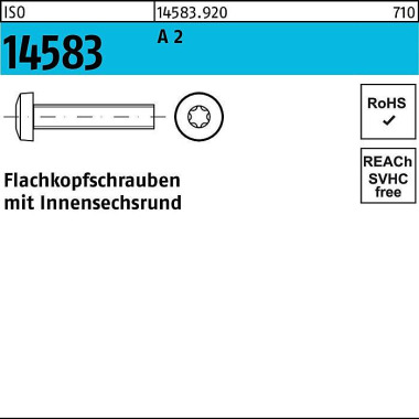 Flachkopfschraube ISO 145 83 ISR M2x 16 A 2 1000 St ück 145839200020016