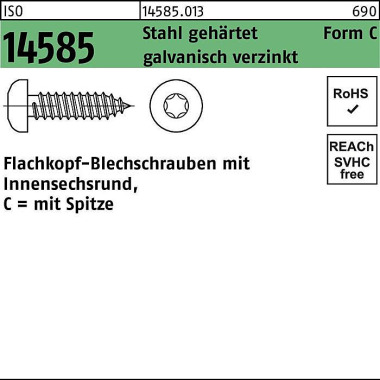 Blechschraube ISO 14585 I SR/Spitze 3,9x45 -C-T20 S tahl geh.galv.verz. 500St . 145850130039045