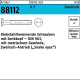 Schraube R 88112 diebstah lhemmend Seko/Zweiloch M4 x 12 A 2 100 Stück 881129200040012