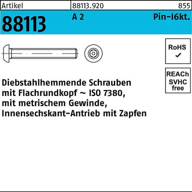 Schraube R 88113 diebstah lh. Innen-6kt Zapfen M3x 6 A 2 100 Stück 881139200030006