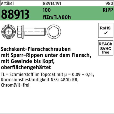 Sechskantflanschschraube R 88913 Sperr-Ripp VG M6x 10 100 flZnnc 480h-L 500S t. 889131910060010