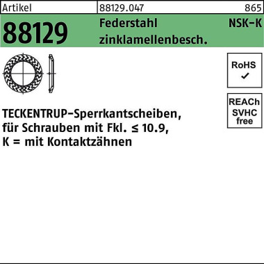 Sperrkantscheibe R 88129 NSK-K 5 Federstahl zinkla mellenb. 1000St. TECKENTR UP 881290470050000