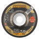 Rhodius Schruppscheibe RS480 CERAMICON TOPline, 125 x 7,0 x 22,23mm 210239