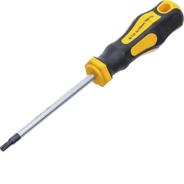 BGS Šroubovák | T-Star (pro Torx) T25 | Délka čepele 100 mm 7844-T25