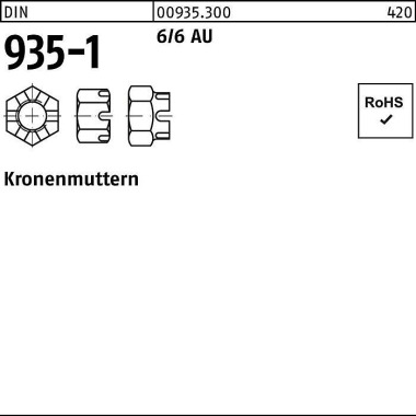 Kronenmutter DIN 935-1 M1 0 SW 17 6/6 Automatenstah l 100 Stück 009353009100000