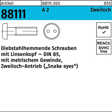 Schraube R 88111 diebstah lhemmend Liko/Zweiloch M6 x 25 A 2 100 Stück 881119200060025