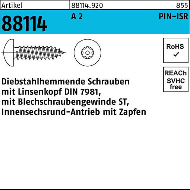 Schraube R 88114 diebstah lh. Liko ISR Zapfen 6,3x 19 A 2 100 Stück 881149200063019