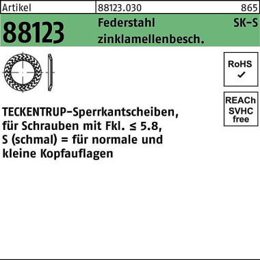 Sperrkantscheibe R 88123 S 12x24,25x1,6 Federst. z inklamellenb. 100St TECKE NTRUP 881230309120000