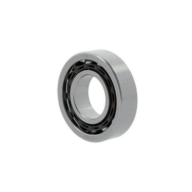 SCHKG 7302 BEP ID 15mm AD 42mm Breite13mm SKF 10017392