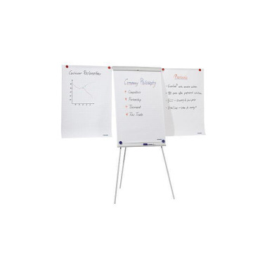 Franken Flipchart Standar d X-tra Line Plus EL-FC22 105x68cm grau 155611400