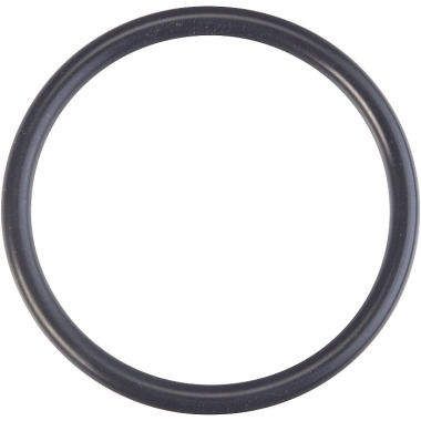 HAZET O-ring for at sikre støtten 6800-03