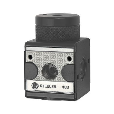 Riegler Trykregulator pneumatisk fjernstyret »multifix«, BG 1, G 1/4 100462