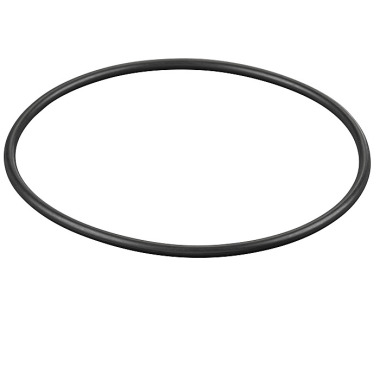 REMS O ring 060174