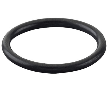 REMS O ring 060276