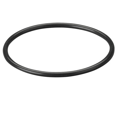 REMS O ring 060302