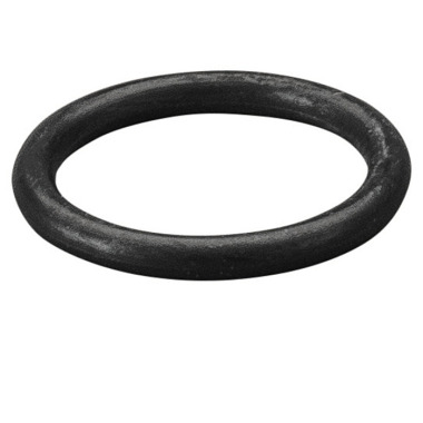 REMS O ring 060308