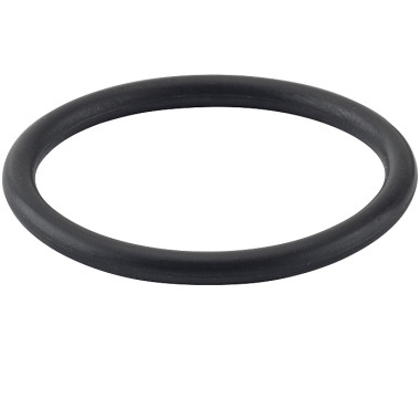 REMS O ring 060316