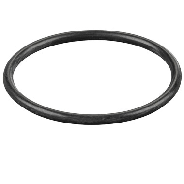 REMS O ring 060318