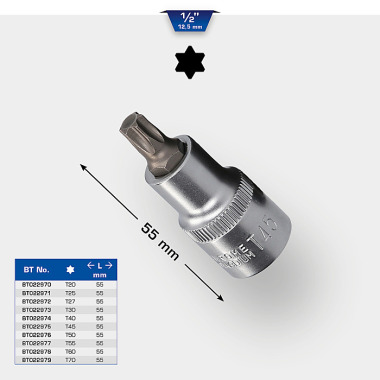 Brilliant  1/2" Bit-Schraubendreher, TORX, 55mm, TX 25 BT022971