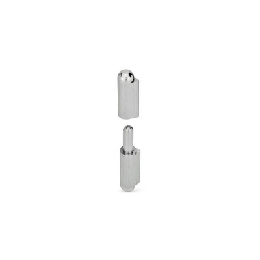 Ganter Stainless Steel Hinges for Welding 128.2-100-A4