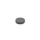 Ganter Raw magnets, Hard Ferrite, disk-shaped 55.2-HF-19,8-10