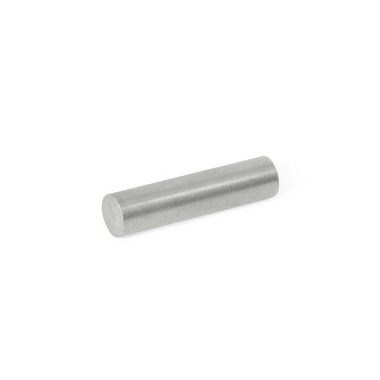 Ganter Raw Magnets, Aluminum, Nickel, Cobalt, Rod-shaped 55.3-AN-4-20