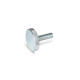 Ganter Knurled Screws, Steel, Zinc Plated, Flat Type 653-M10-30-ZB