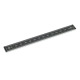 Ganter Rulers, Aluminum, with Mounting Holes 711.2-AL-100-W-L-1