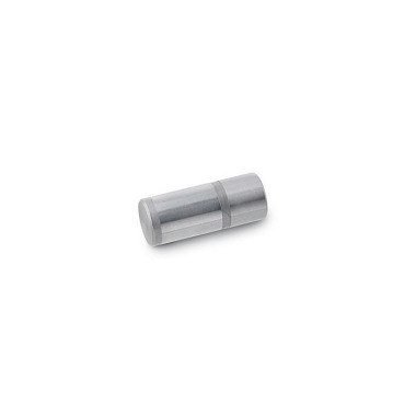 Ganter Guide Pins, Cylindrical, for Guide Bushings DIN 172 / DIN 179 771.1-12-30-12