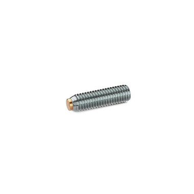 Ganter Grub Screws with Brass / Plastic Pivot, Stainless Steel 913.5-M10-20-MS